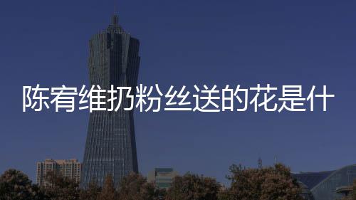 维扔情况花是合的个组宥维陈宥 陈粉丝送的什么是哪